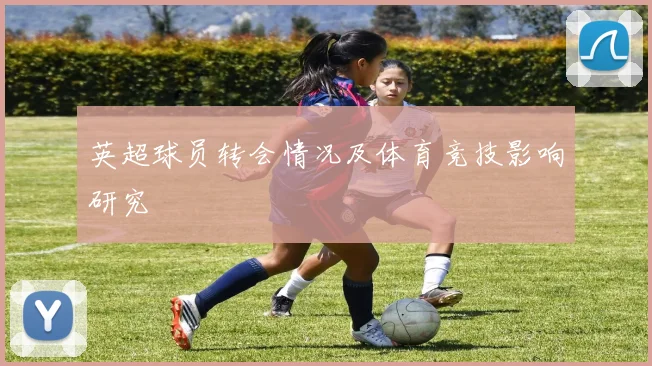 英超球员转会情况及体育竞技影响研究