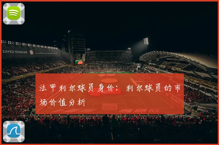 法甲利尔球员身价：利尔球员的市场价值分析