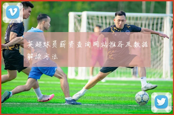 英超球员薪资查询网站推荐及数据解读方法