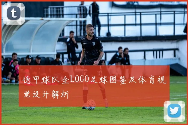 德甲球队全LOGO足球图鉴及体育视觉设计解析