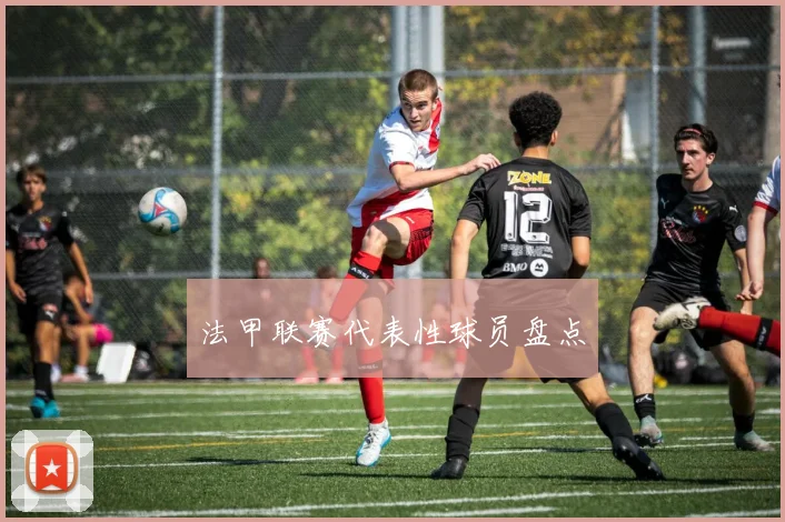 法甲联赛代表性球员盘点