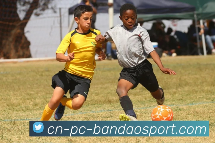 半岛体育品牌故事