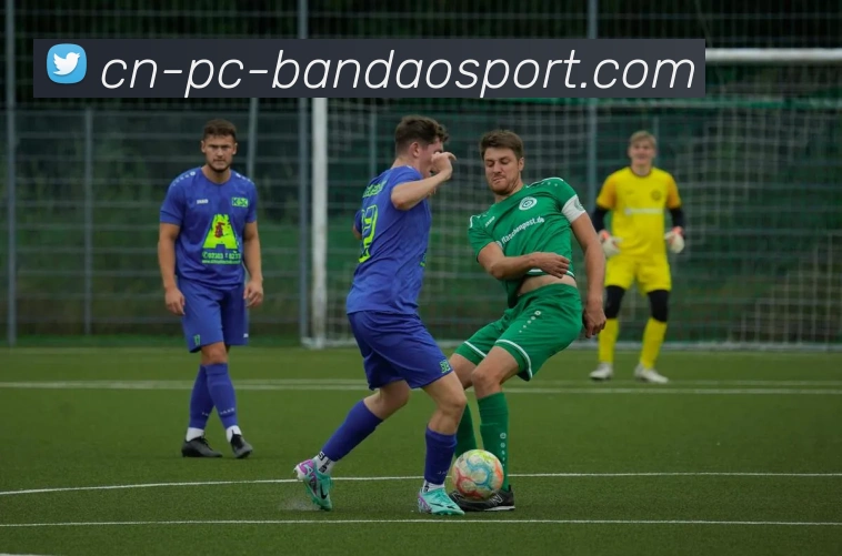 半岛体育服务体系